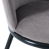 Set de 2 scaune de prânz, tapițerie din catifea, structură metalică, spătar ergonomic, 44×41×88 cm, Gri(m-5)