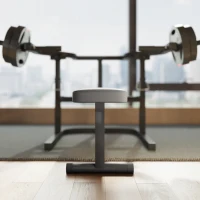 SPORTNOW Bancă pentru Ridicat Greutăți Reglabilă pe Înălțime, Bancă Plată Multifuncțională, 150x150x60-85 cm, Negru(m-8)