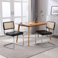 Lot de 2 chaises en rotin avec éléments rembourrés en similicuir, dossier en maille sans accoudoirs, pieds en métal chromé, Noir(m-4)