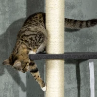 PawHut 240-270cm Floor-To-Ceiling Cat Tree, 5 Tier Cat Climbing Tower, with Bed, Hammock, Platforms, Black and Cream(m-8)