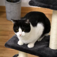 PawHut Copac pentru Pisici cu 3 Nivele cu Covor pentru Zgâriat în Formă de Arc, Copac de Zgâriat, 40x35x72 cm, Gri(m-7)