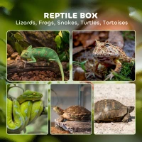 PawHut 40L Vivarium for Lizards, Frogs, Snakes, Turtles, Tortoises w/ Anti-Escape Design, Ventilation(m-4)