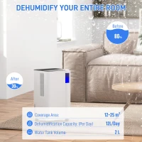 HOMCOM 12L/Day Dehumidifier with Continuous Drainage, 2L Water Tank, 24H Timer, Digital Humidity Display, Filter, Auto Defrost, Children Lock, for Bedroom, Dehumidifier for Home Damp, Laundry Drying(m-4)