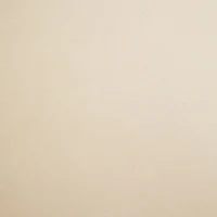 Ensemble de chaises de salle à manger modernes en velours luxueux,pour salle à manger, salon et chambre à coucher (lot de 2), Beige(m-7)