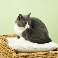 PawHut kattengrot met waterhyacintgras, 2 slaapruimtes, 2 wasbare kussens, naturel + wit(m-10)