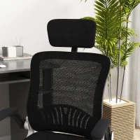 Vinsetto Scaun pentru Birou din Plasa cu Spatar Inalt, Scaun de Birou pentru Computer cu Suport Lombar, Cotiere Rabatabile, Tetiera si Inaltime Reglabila, Negru(m-9)