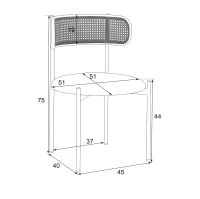 Set de 4 Sillas de Comedor de Terciopelo con Patas de Metal y Respaldo de Rejilla 45x40x75 cm Negro(m-3)
