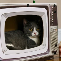 PawHut Arranhador de Cartão para Gatos Casa para Gatos em Forma de Televisor com Rato de Brinquedo 43x23x32,5 cm Areia(m-10)