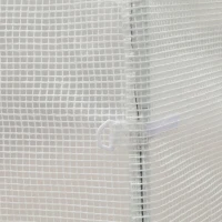 Outsunny Gartenfolientunnel 6 m² 3L x 2B x 1,9H m Verstärktes galvanisiertes Stahlrohr mit 2,4 cm Durchmesser + HDPE-Fenster Tür Weiß(m-4)
