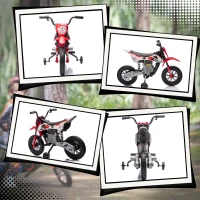 AIYAPLAY Elektromotorrad für Kinder Motocross für Kinder von 3 bis 6 Jahren 2 Motoren 12V maximale Geschwindigkeit 5 km/h Rot(m-5)