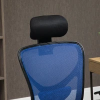 Vinsetto Ergonomischer Bürostuhl Drehstuhl mit Kopfstütze Neigbare Rückenlehne Höhenverstellbarer Mesh-Bezug 62 x 67 x 118 cm Schwarz und Blau(m-5)