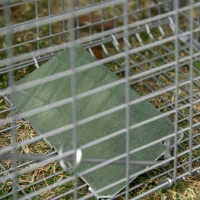 Outsunny Klappbarer Fangkäfig für kleine Tiere wie Ratten und Mäuse - 2 Türen Griff 81 x 26 x 34,5 cm Stahl silber(m-4)