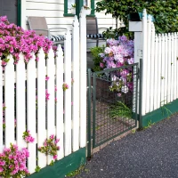 Gartentor in Gitteroptik Gartenpforte Gartentür Terrassentor Außenstahl Maße 97L x 150H cm grün(m-2)