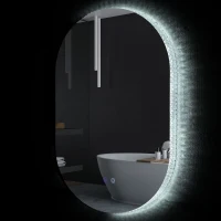 kleankin Ovaler beleuchteter LED-Wandspiegel für Badezimmer 81 x 51 cm 3 Farben einstellbare Helligkeit berührungsempfindlicher Schalter transparent(m-1)