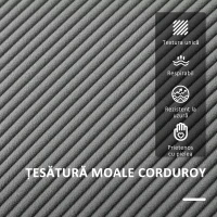 HOMCOM Canapea Modernă de 2 Locuri cu 2 Perne Detașabile, Spațiu de Depozitare și Picioare din Lemn, 140x63x79 cm, Gri(m-5)