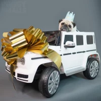 HOMCOM Mercedes Benz G500 Licensed 12V Kids Electric Ride On Car  Toy with Parental Remote Control Battery-powered 2 Motors Music Lights MP3 for 3-8 Years Old White(m-13)