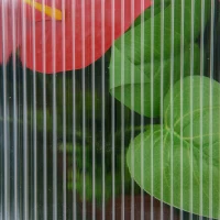 Outsunny Mini-broeikas, Compact plantenhuis van hout, Polycarbonaat panelen, Ventilatieopening, 90L x 52B x 49,5H cm, Grijs(m-7)