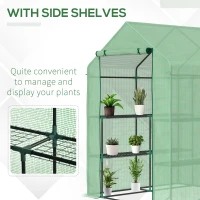 Outsunny Walk-in Small Greenhouse with Shelves, Outdoor Green House Grow House with Waterproof PE Cover and Roll-up Door, 143x143x195cm, Green(m-6)