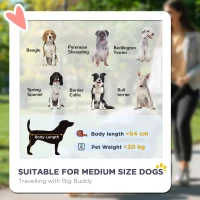 PawHut 3-Wheel Dog Stroller with Easy Fold, Storage Bag, Soft Cushion, Safety Leash, Grey(m-4)