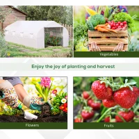Outsunny  6 x 3 x 2m Walk in Polytunnel Greenhouse with Windows and Door for Garden, Backyard(m-7)
