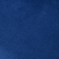 HOMCOM Set of 2 velvet seat dining chairs with golden metal legs - blue(m-11)