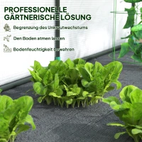 Outsunny Szklarnia montowana do ściany, dostępne dom do roślin, osłona z tworzywa sztucznego, 300 x 80 x 157 cm, Biała(m-4)