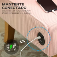 HOMCOM Sofá de 2 Plazas Tapizado en Pana con 2 Puertos USB 1 Puerto Tipo-C y Patas de Madera Carga 240 kg 110x60x85 cm Rosa(m-4)