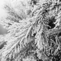 HOMCOM Sapin de Noël artificiel 180 cm arbre de Noël lumineux floqué enneigé avec lumière LED blanc chaud et 1321 pointes(m-9)