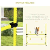 PawHut Agility sport pour chiens set de 4 obstacles professionnels avec système de maintien au sol sac transport fourni(m-4)