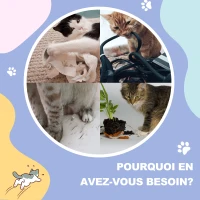 PawHut Tunnel pour chat intérieur jouets pour chats avec balle suspendue entrées multiples en sisal 98 x 30 x 30 cm crème(m-7)