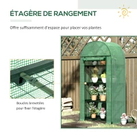 Outsunny Serre de jardin serre de balcon résistante aux UV porte enroulable 4 étagères couverture en PE 80 x 49 x 160 cm vert(m-6)