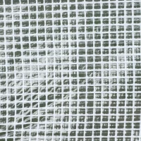 Outsunny Serre de jardin tunnel 2 x 3m, 6m² avec porte enroulable, 4 fenêtres, - Acier galvanisé PE Haute densité Blanc(m-8)