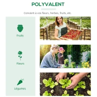 Outsunny Serre de jardin mini serre 3 fenêtres enroulables couverture en PE haute densité 140 g/m² 180 x 60 x 60 cm vert foncé(m-7)