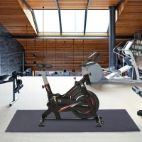 HOMCOM Stationary Exercise Bike 10kg Flywheel Gym Office Cycling Training Fitness w/ LCD Monitor, Protection Mat(m-10)