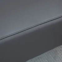 HOMCOM Divano 2 Posti Convertibile in Divano Letto Singolo con Braccioli Regolabili, 164x71x75cm(m-7)