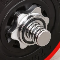 HOMCOM Juego de Mancuernas 30 kg Ajustables 2 en 1 con 12 Discos 2 Barras y Biela Ajustable para Entrenamiento de Fuerza Levantamiento de Pesas Hogar Gimnasio Oficina Negro y Rojo(m-8)