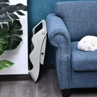 PawHut Escalier pour chien animaux pliable 3 marches antidérapant pliable portable charge max. 15 Kg 49L x 39l x 39H cm plastique crème(m-6)