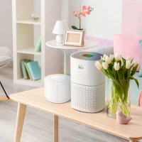 HOMCOM Filtre pour purificateur d'air B0B8H4BVKH/B0B61DQKJJ - filtration en 3 étapes avec pré-filtre, filtre à charbon actif, filtre HEPA - dim. Ø 19,3 x 14,8H cm(m-2)