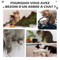 PawHut Arbre à chat poteau à griffer hauteur réglable dim. 43L x 27I x 228-260H cm 4 niveaux d'activités gris(m-4)