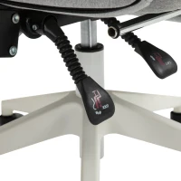 Vinsetto Bürostuhl, Ergonomischer Schreibtischstuhl mit Kopfkissen, Lendenkissen, höhenverstellbar Gamingstuhl mit Fußstütze, hoher Rückenlehne, Grau 62 x 68 x 117-127 cm(m-11)