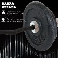SPORTNOW Barra de Pesas de Acero 120 cm Barra Curl EZ con 2 Presillas Carga 100 kg para los Discos de Ø5 cm Negro y Plata(m-5)
