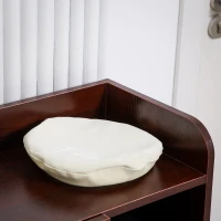 HOMCOM Armadio Scarpiera Moderno e Salvaspazio in Legno per 12 Paia con 4 Ripiani Aperti, 83x30x90 cm, color Caffè(m-8)