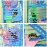 PawHut Cage pour Hamster Souris Petit Animaux Rongeur avec Tunnel Mangeoire Roue Jouet 47 x 30 x 59 cm Bleu(m-8)