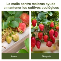 Outsunny Malla Antihierbas Malla Geotextil 1x50 m Malla de Jardín contra Malas Hierbas 100 g/m² Rollo de Malla Antimaleza Negro(m-7)