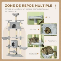 PawHut Arbre à chat XXL arbre à grimper pour chat multi-équipements griffoirs 6 plate-formes 2 niches hauteur 200 cm gris(m-4)