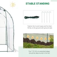 Outsunny Walk-in Polytunnel Greenhouse with Roll-up Door Transparent Tunnel Greenhouse with Steel Frame and PVC Cover, 2.5 x 2m(m-5)