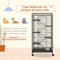 PawHut Cage pour Petits Animaux Roulante 5 Rampes 5 Plates-formes Plat et Bouteille d'Eau 250 ml Bac Inférieur Amovible(m-4)
