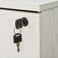 Vinsetto Archivador Móvil para Archivos A4 con Ruedas Gabinete de Archivos Suspendidos con 2 Cajones y Cerradura 40x45x55,6 cm Blanco(m-9)