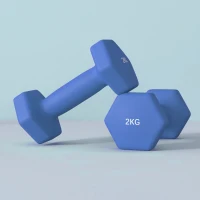 SPORTNOW 2 x 2kg Hexagonal Dumbbells Weights Set with Non-Slip Grip for Home Gym Workout, Blue(m-7)