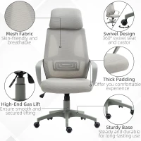 Vinsetto Ergonomic Office Chair, High Back Computer Chair, Mesh Desk Chair with Lumbar Support, Headrest, Wheel, Adjustable Height, Grey(m-8)